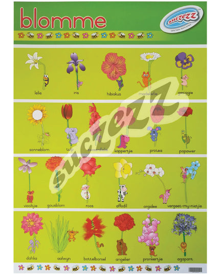 Muurkaart - Blomme 1