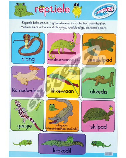 Muurkaart - Reptiele 2