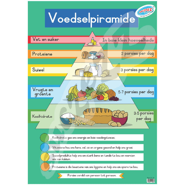 Muurkaart - Voedselwiel 1