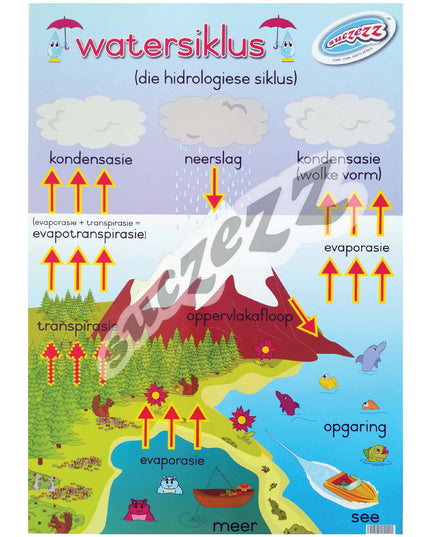 Muurkaart - Watersiklus 1