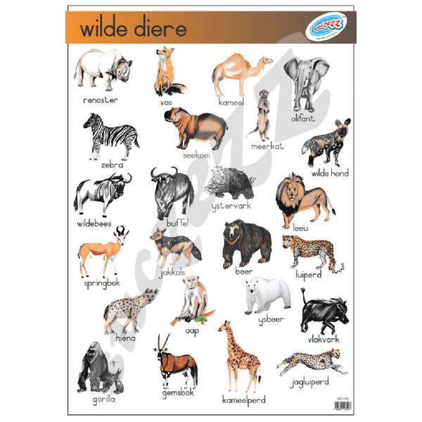 Muurkaart - Wilde Diere 1