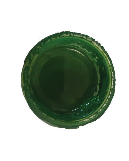 Paint Craft 50ml - SAP Green - CP44