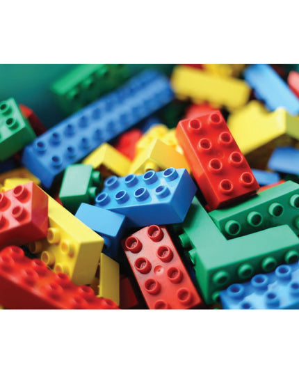 Plastic Blocks Jumbo - 1kg
