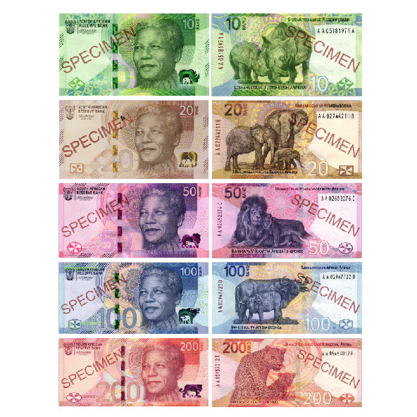 Play Money - Set 20 Notes and 35 Coins – Edunation