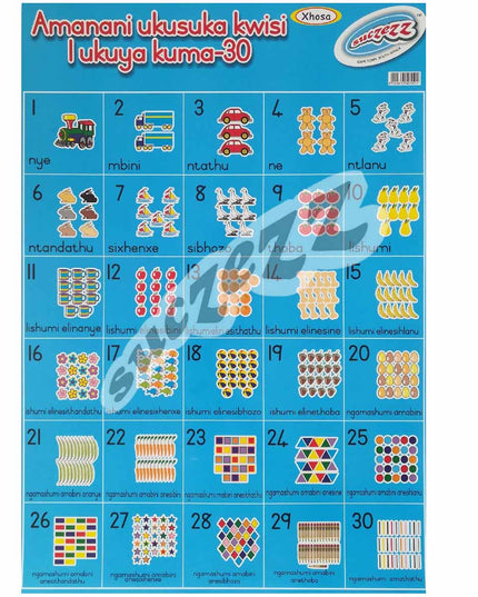 Poster - Amanani Ukusuka Kwisi 1 Ukuyu Kuma 30 (Numbers 1-30) - Xhosa