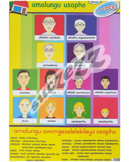 Poster - Amalungu Usapho (My Family Members) - Xhosa