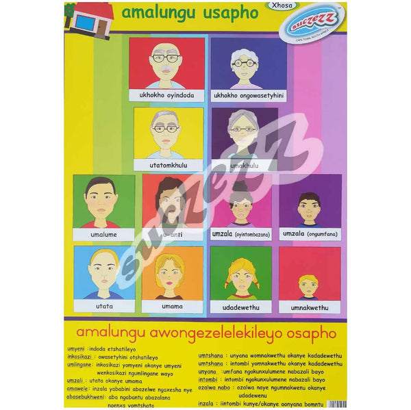 Poster - Amalungu Usapho (My Family Members) - Xhosa