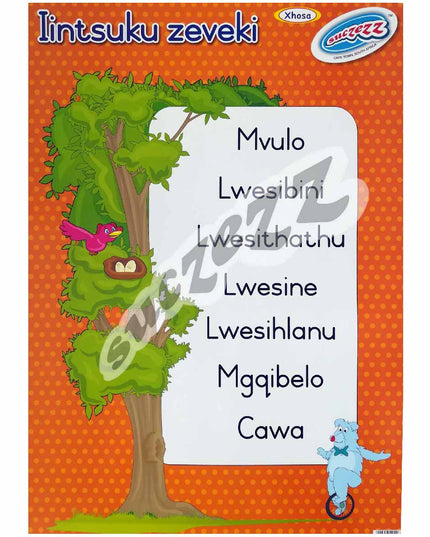 Poster - Iintsuku Zeveki (Days of the week) - Xhosa