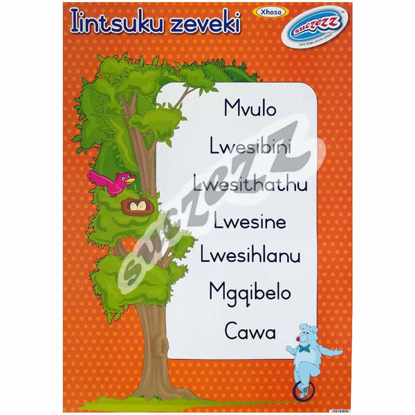 Poster - Iintsuku Zeveki (Days of the week) - Xhosa