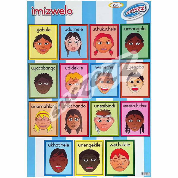 Poster - Imizwelo (Feelings and Emotions) - Zulu