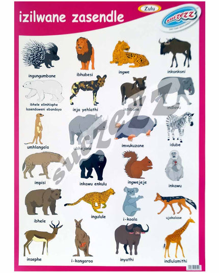 Poster - Izilwane Zasendle (Wild Animals) - Zulu