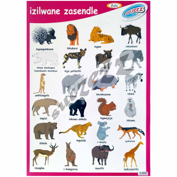 Poster - Izilwane Zasendle (Wild Animals) - Zulu