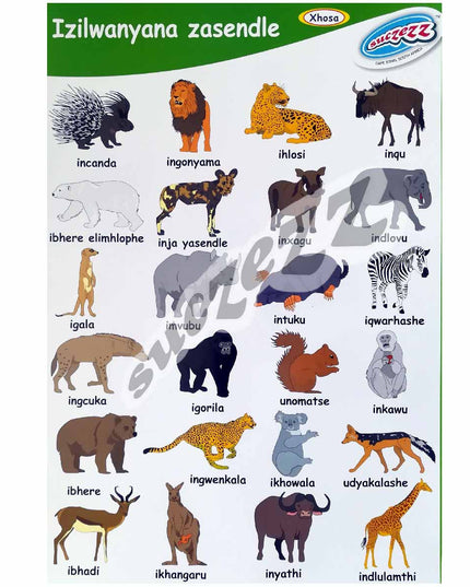 Poster - Izilwanyana Zasendle (Wild Animals) - Xhosa