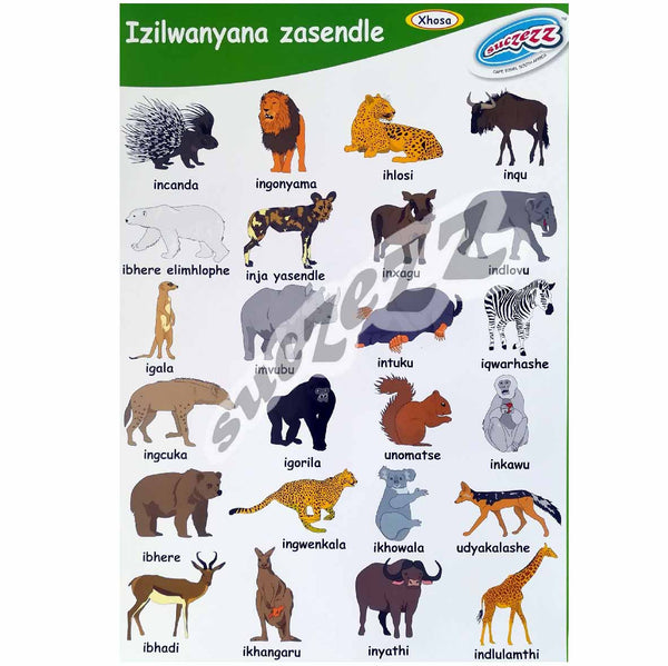 Poster - Izilwanyana Zasendle (Wild Animals) - Xhosa