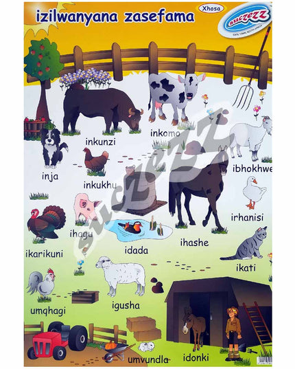 Poster - Izilwanyana (Farm Animals) - Xhosa