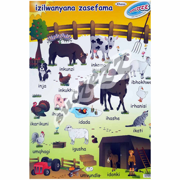 Poster - Izilwanyana (Farm Animals) - Xhosa