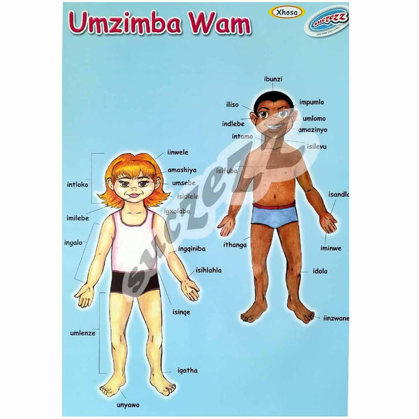 Poster - Umzimba Wam (My Body) - Xhosa