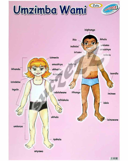 Poster - Umzimba Wami (My Body) - Zulu