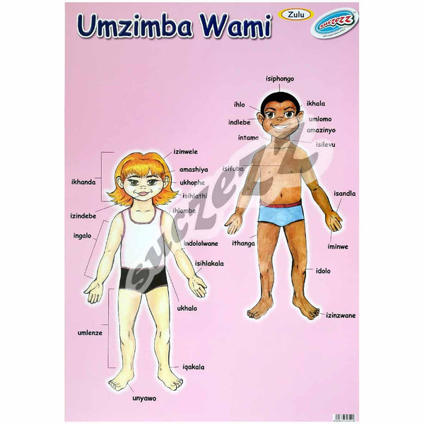Poster - Umzimba Wami (My Body) - Zulu