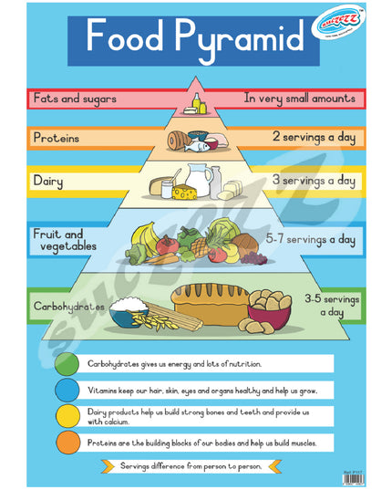 Poster - Food Pyramid 1