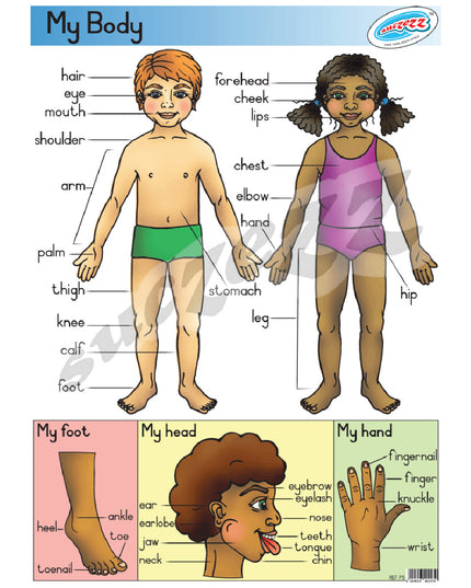 Poster - My Body 1