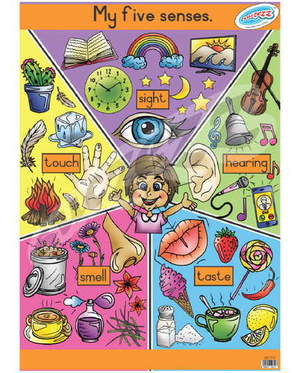 Poster - My Five Senses 1