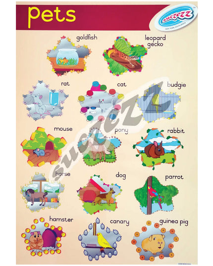 Poster - Pets 1