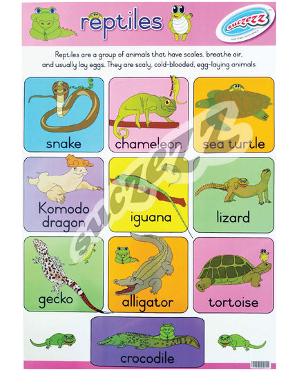 Poster - Reptiles 1