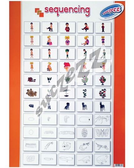 Poster - Sequencing 1