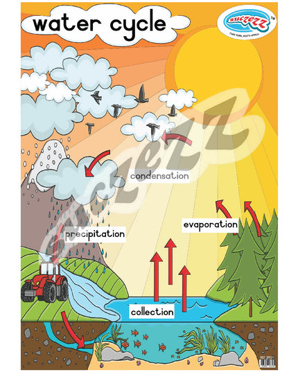 Poster - Water Cycle 1
