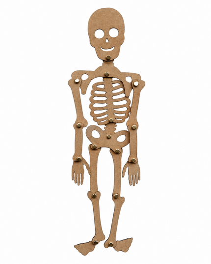 Science_Kit_-_DIY_Skeleton_-_12204-1