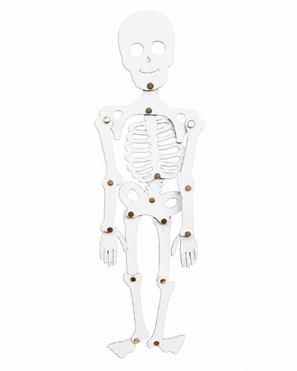 Science_Kit_-_DIY_Skeleton_-_12204-2
