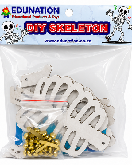 Science_Kit_-_DIY_Skeleton_-_12204-3