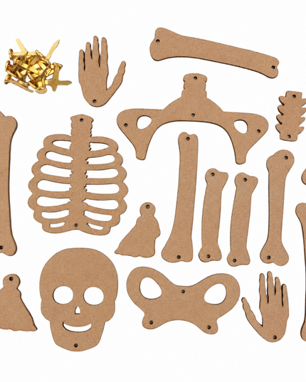 Science_Kit_-_DIY_Skeleton_-_12204-4