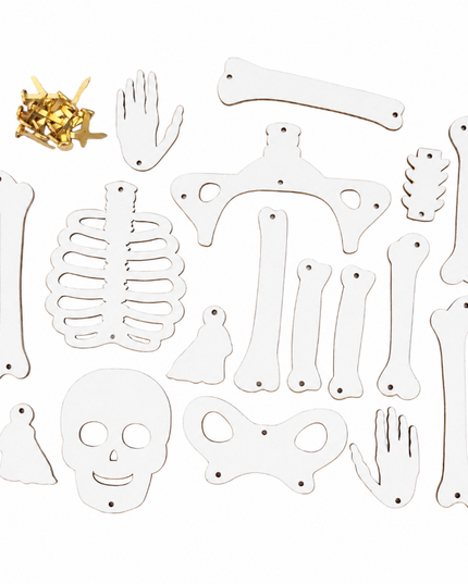 Science_Kit_-_DIY_Skeleton_-_12204-5