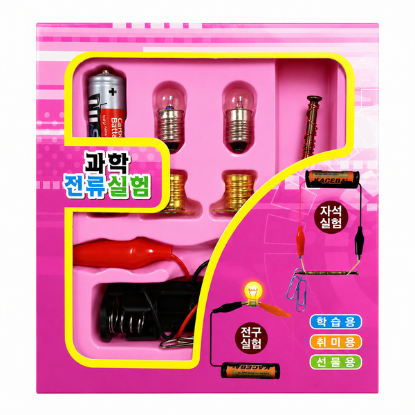 Science Kit - Electric 1
