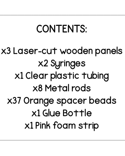 Science Kit - Hydraulic Lift 7
