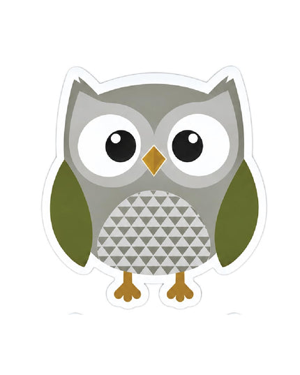 White Board Eraser Magnetic - Owl - Assorted Colours - Each 4