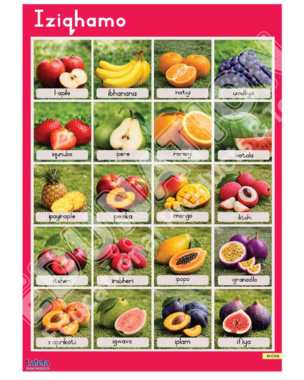 Poster - Lalela Iziqhamo (Fruit) - Xhosa