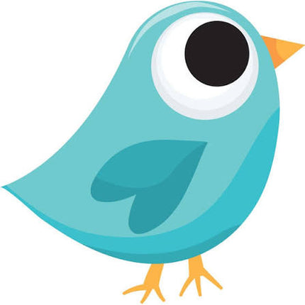 White Board ERASER BIRD Magnetic Asst Col ea