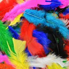 Turkey Feathers Mix - 10gr