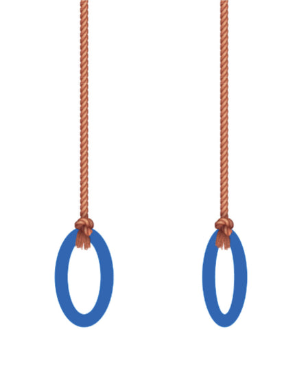 Steel Hang Rings - 22cm, with Rope. (Courier costs do not apply! Contact for quotation.)