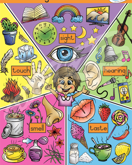 Poster - My Five Senses