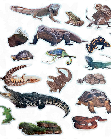 Funky Felt Reptiles