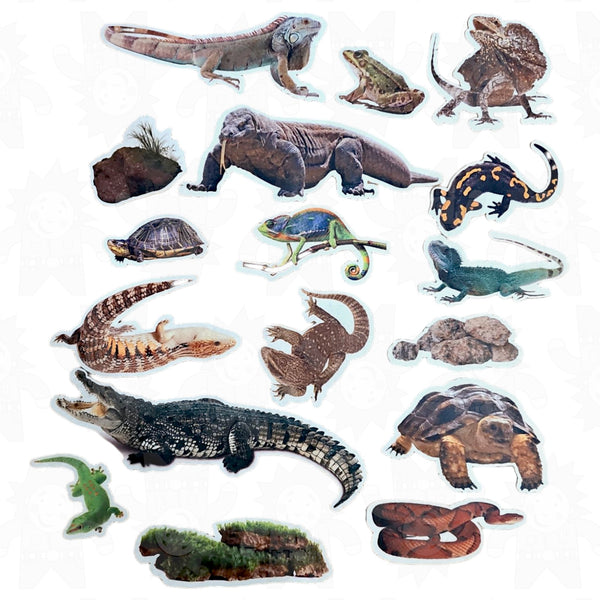 Funky Felt Reptiles