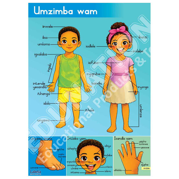 Poster - Lalela Umzimba Wam (My Body) - Xhosa