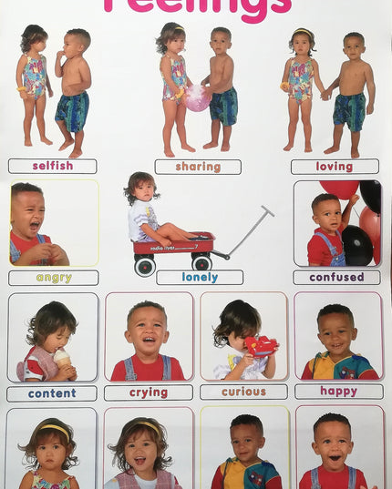 Poster - Feelings Edunation South Africa Posters and Charts