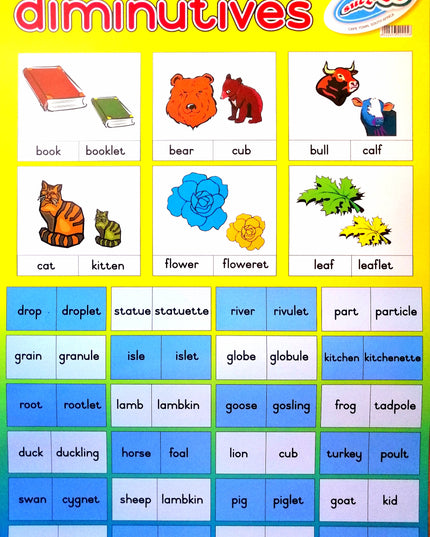 Poster - Diminutives Edunation South Africa Posters and Charts