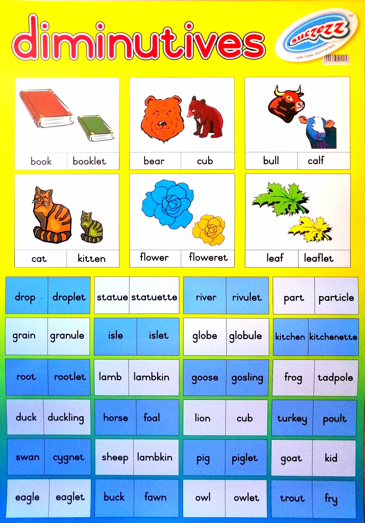 Poster - Diminutives Edunation South Africa Posters and Charts