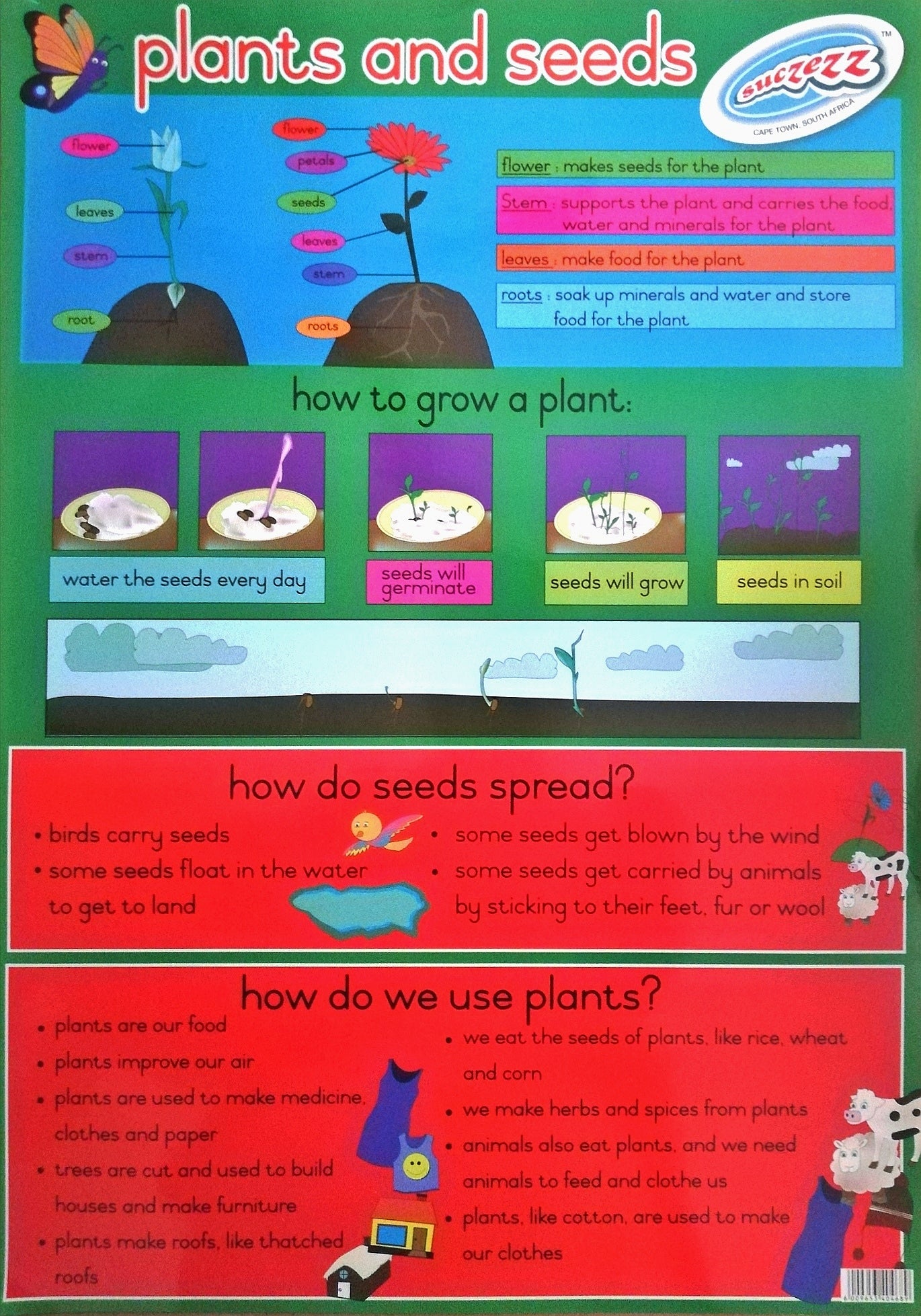 Poster - Plants and seeds
